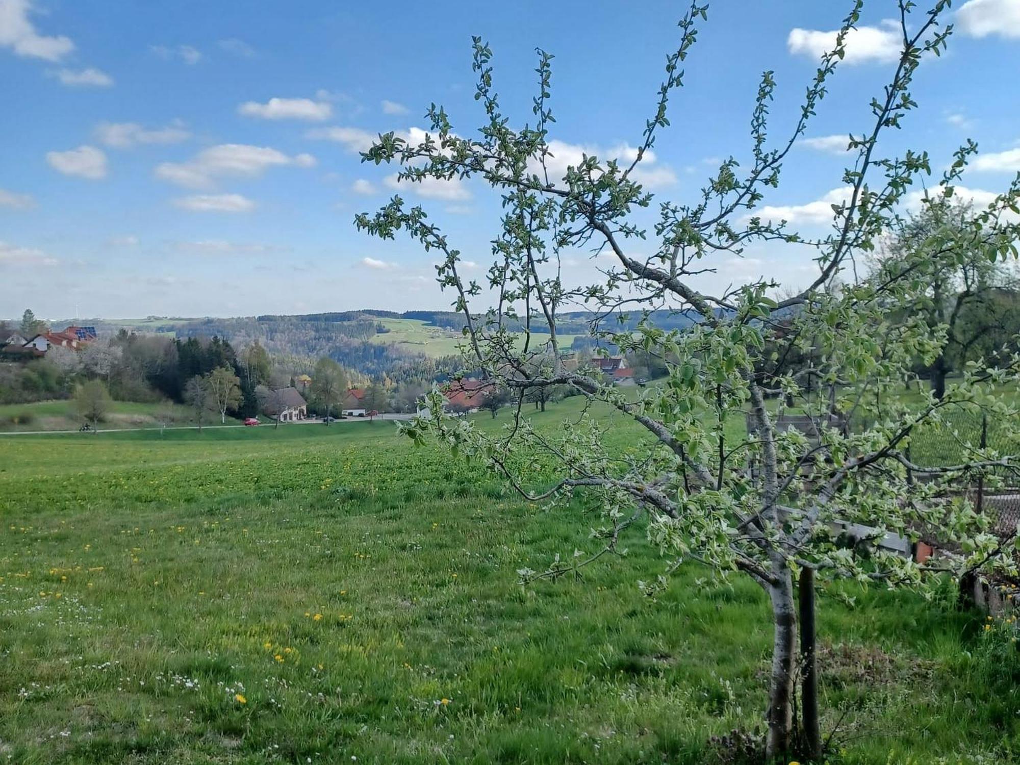 Landhaus Alpenpanorama Löffingen Exterior foto